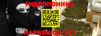 эйфоретик Можга