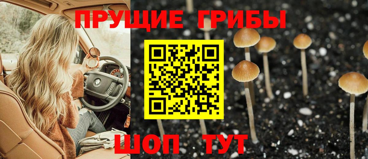 Солнечногорск  Галлюциногенные грибы Cubensis  купить  сайты  Вход с VPN 