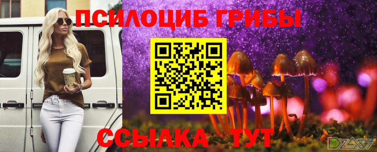 Псилоцибиновые грибы прущие грибы Солнечногорск