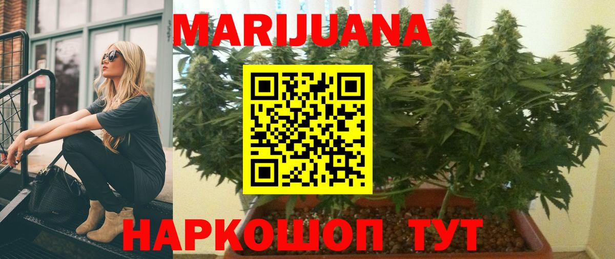 Солнечногорск  Шишки марихуана Amnesia  Вход с VPN  Бошки марихуана семена 
